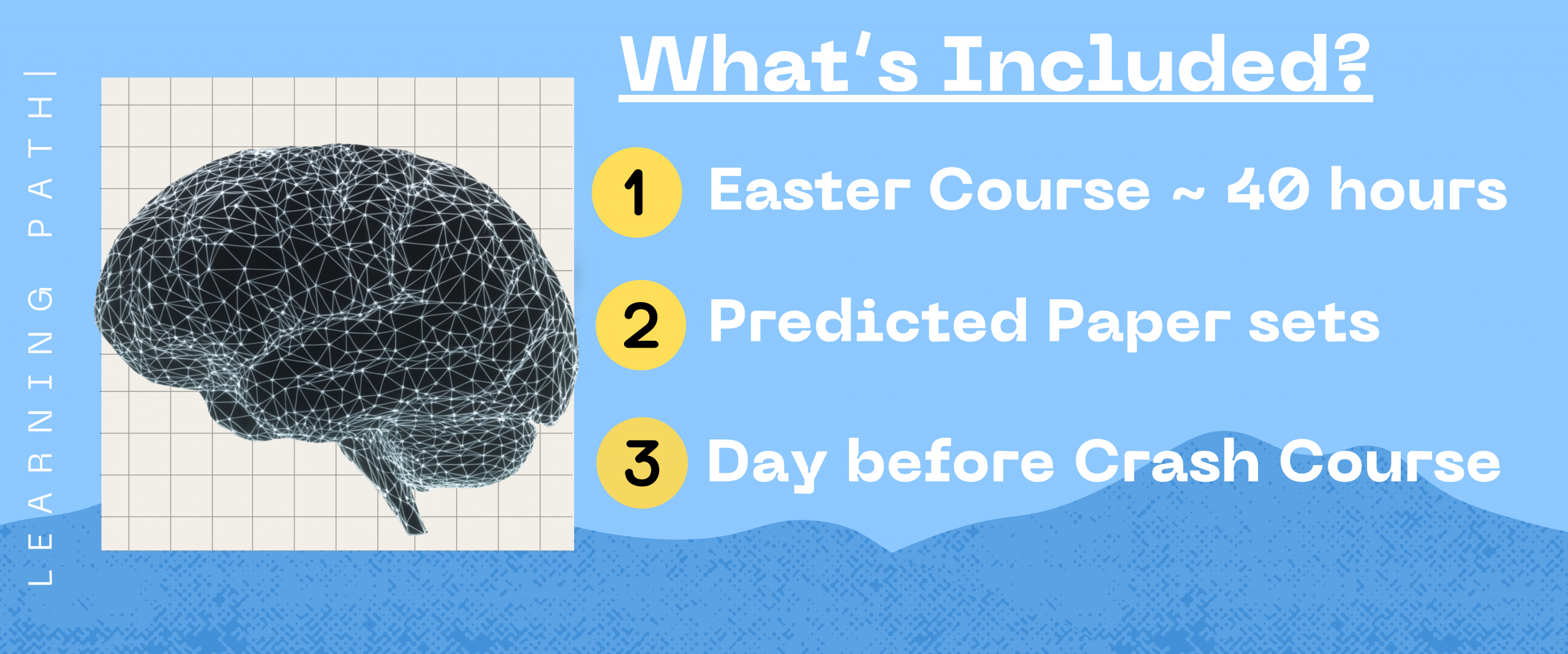 Learning Path Courses Overview